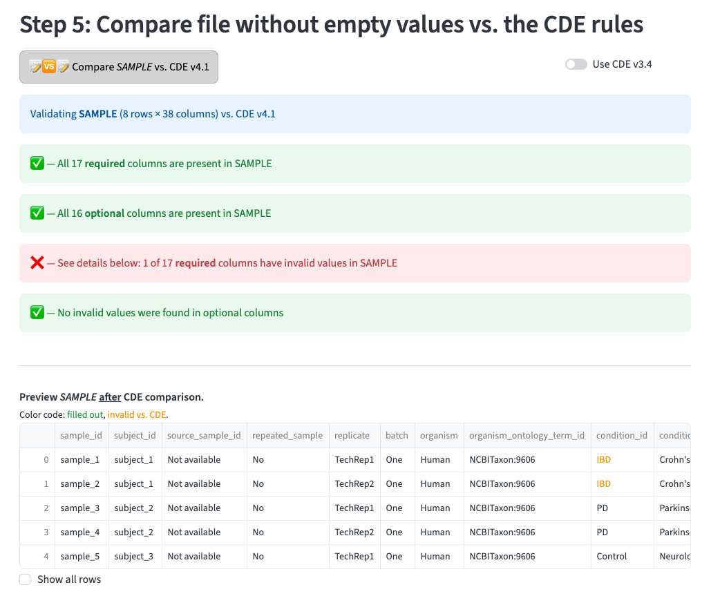 Step 5 - Validation report